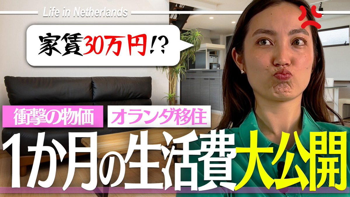 オランダでの1ヶ月の生活費公開動画を作ったんですが 自分でもこの動画作っててショック受けてしまった笑 おほほほほほほほほほ 日本円に換算したくなかったわよ、、、  だれかユーロ円を130円に戻してくれ