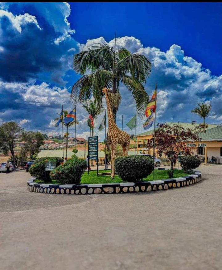 UgandanBy's tweet photo. The best university in uganda  " kampala international university " is known for producing creme dela creme ,its medical doctors are now the pillars of uganda's health sector.
@kiuvarsity https://t.co/qaL2HvZyXi