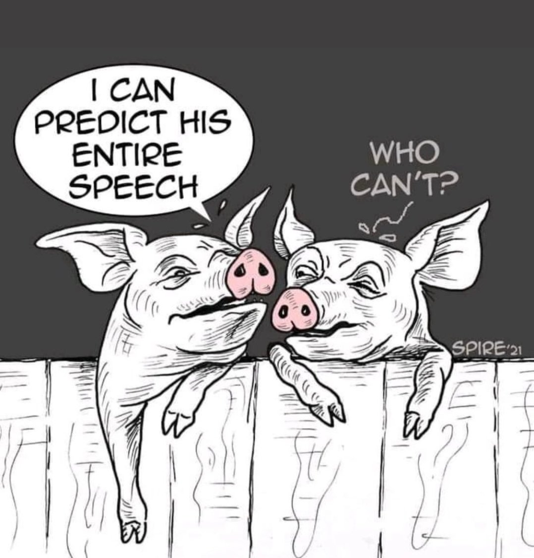 These pigs might finally catch a break from all the accusations ...