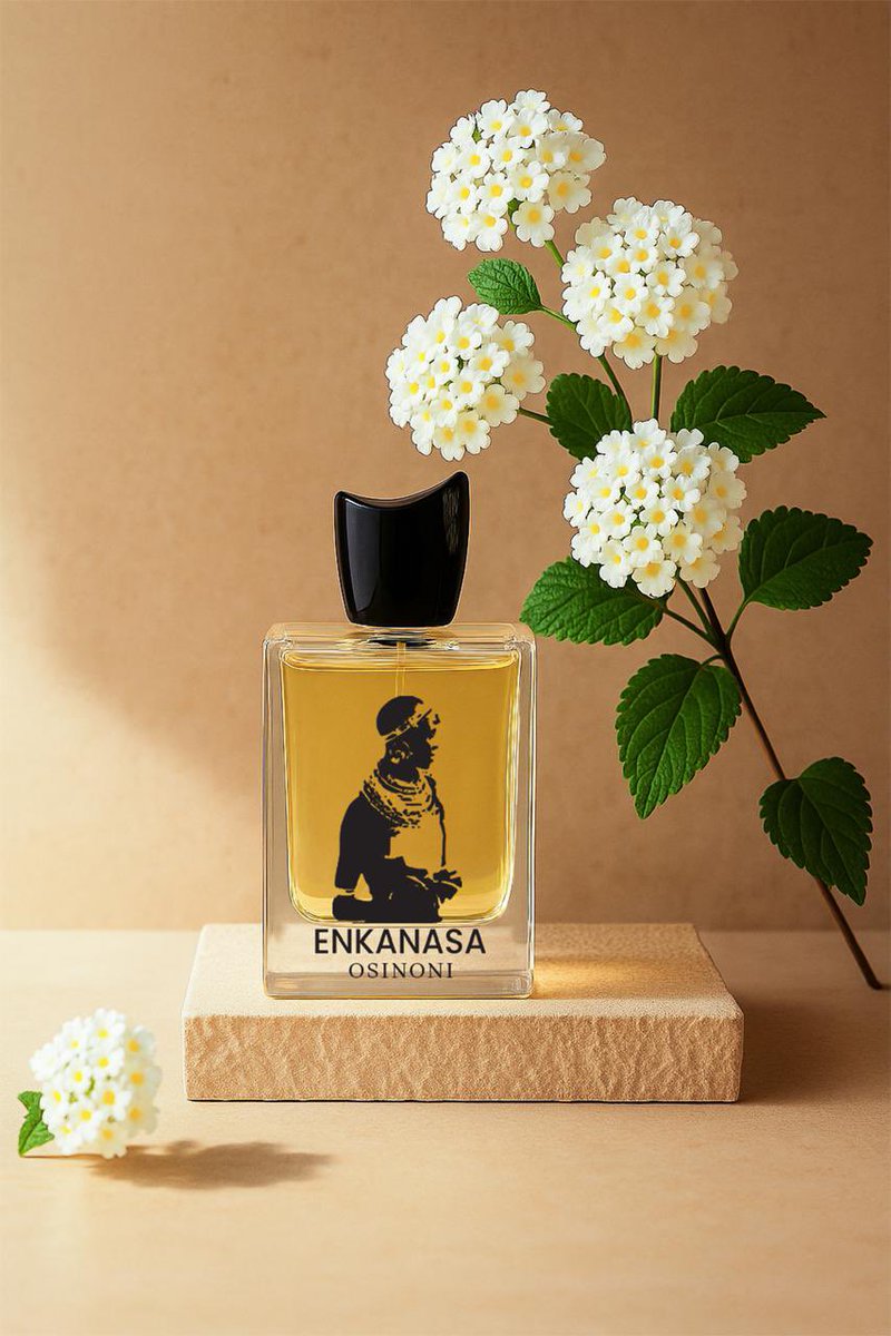 ledamalekina's tweet photo. As a leader, my aim is to enhance our economy through every available avenue to eliminate poverty in Kenya. Five years ago, I introduced the Enkanasa brand, which includes long-life milk, aged beef, honey, and a variety of unique condiments. This year, I am thrilled to unveil Enkanasa fragrances, made with local African ingredients such as the famous Leleshwa tree and Osinoni shrub, both sourced from the magnificent Maasai Mara Game Reserve. Each new initiative we launch creates jobs and supports the community. Our target market extends beyond Kenya to the entire globe. These are the innovations that can build a nation, and I invite the youth to join me in this exciting venture.