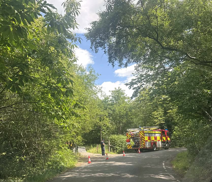 A visitor to East Blean woods sensibly messaged us to report a smouldering fire. They also called the fire brigade.

Any fires or smoke seen at this time of year will warrant a call to the fire service. It's much better to be safe than risk wildlife and wild spaces. 💚