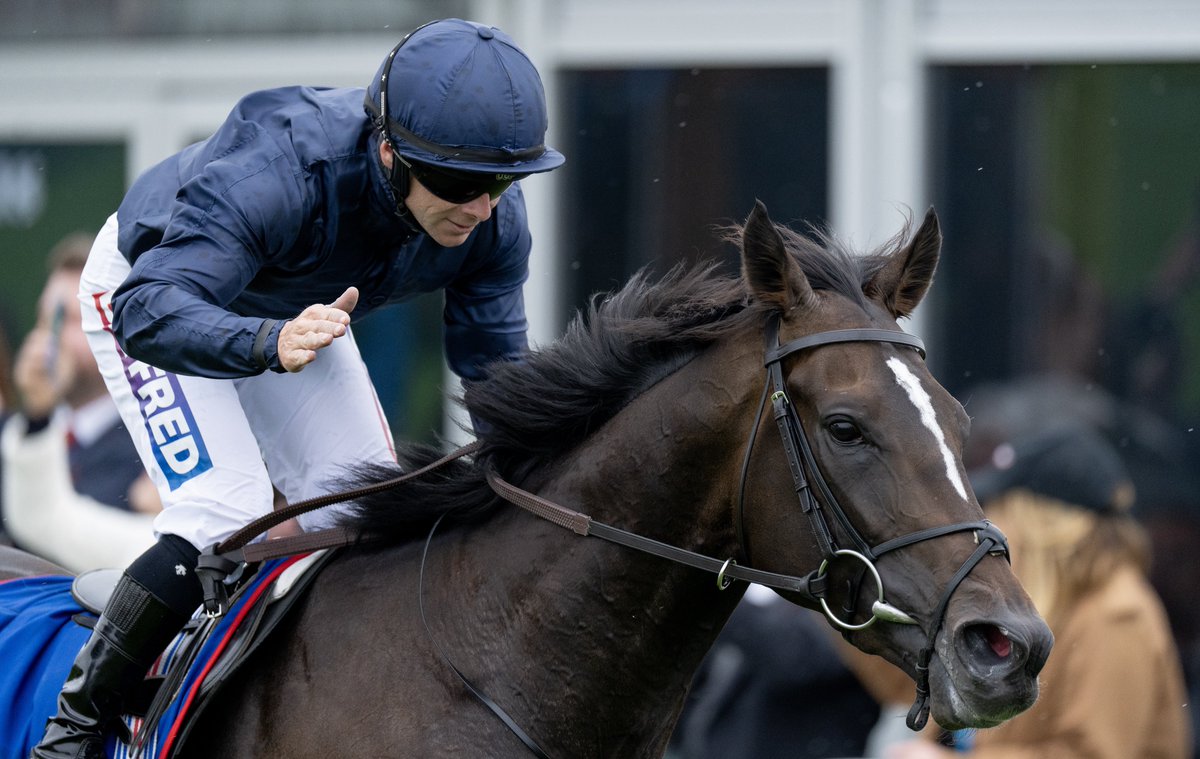 Derby winner Lambourn heads to the Irish Derby today… And we’ve got 5️⃣ £50 free bets to give away! 

❤️ Like
🔁 Retweet
✅ Follow
👇 Comment below who trains him

If he comes 1st, 2nd or 3rd today we’ll choose 5 random winners! 🤑

18+. Closes at 4.10pm 29/06. T&amp;C’s Apply.