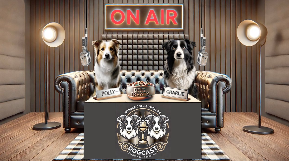 BCTGB's tweet image. The latest episdoe of BCTGB DogCast is live youtu.be/diEykzfIKg4?siโฆ
