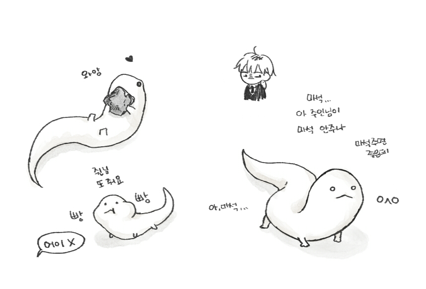 GALGAL_11's tweet image. ㅇㅅㅇ   #이착헌