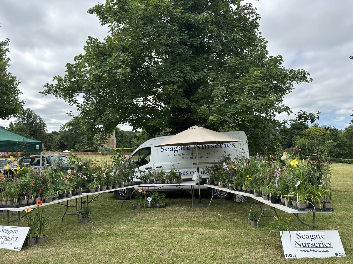 IrisesSeagate's tweet photo. All setup at Chelsworth Open Gardens for today’s event at Chelsworth, Suffolk, IP7 7HU Open 11am-5pm! See you soon! #opengardens #chelsworth #suffolk #gardenvisit #peatfree #plantsales #plantfair #hardyplants #seagatenurseries https://t.co/ivfsfOy0Fv