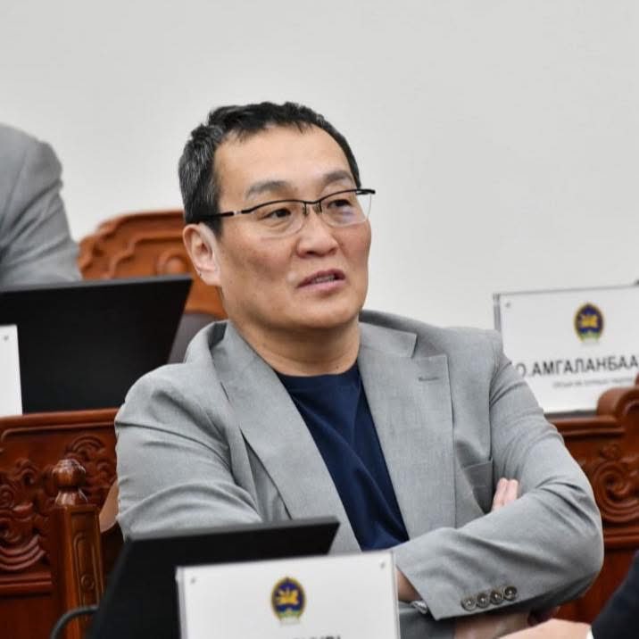 УИХ-ын гишүүн Х.ТЭМҮҮЖИН: Манайд бол 1992 оны Үндсэн хуулийн алдаа хаант засаглалд байдаг эзэн хааны нэр төр халдашгүй гэдэг ойлголт Ерөнхийлөгчийн институт  дээр бичигдсэн байсан  учраас тэр зарчим ажиллах гэж оролдсон. 

Үзэл бодлоо гэртээ илэрхийлснийхээ төлөө тухайн хүнд маш