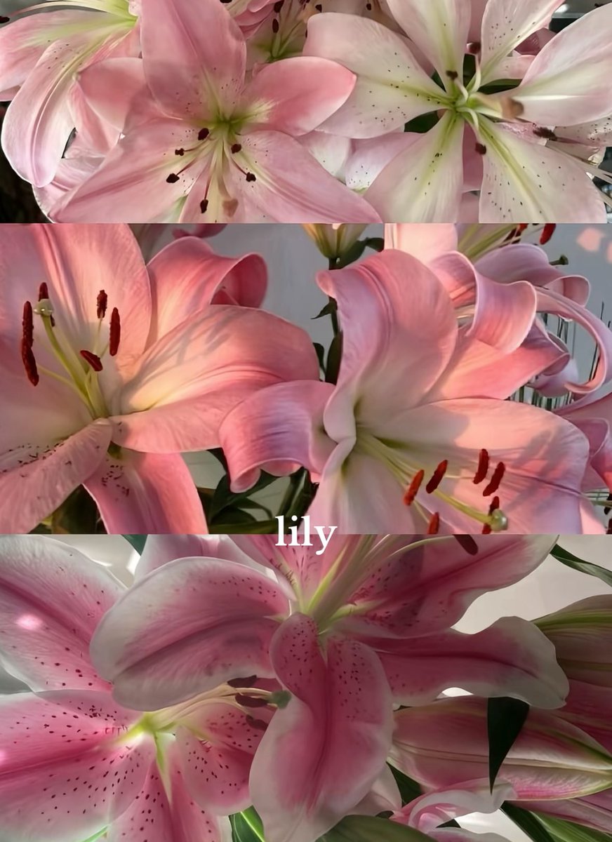 noplacebuthere's tweet image. 