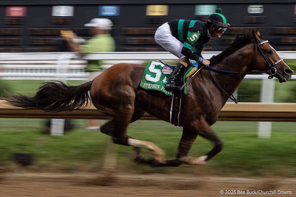 DANIEL! Mystik Dan during the first pass of the 2025 Stephen Foster