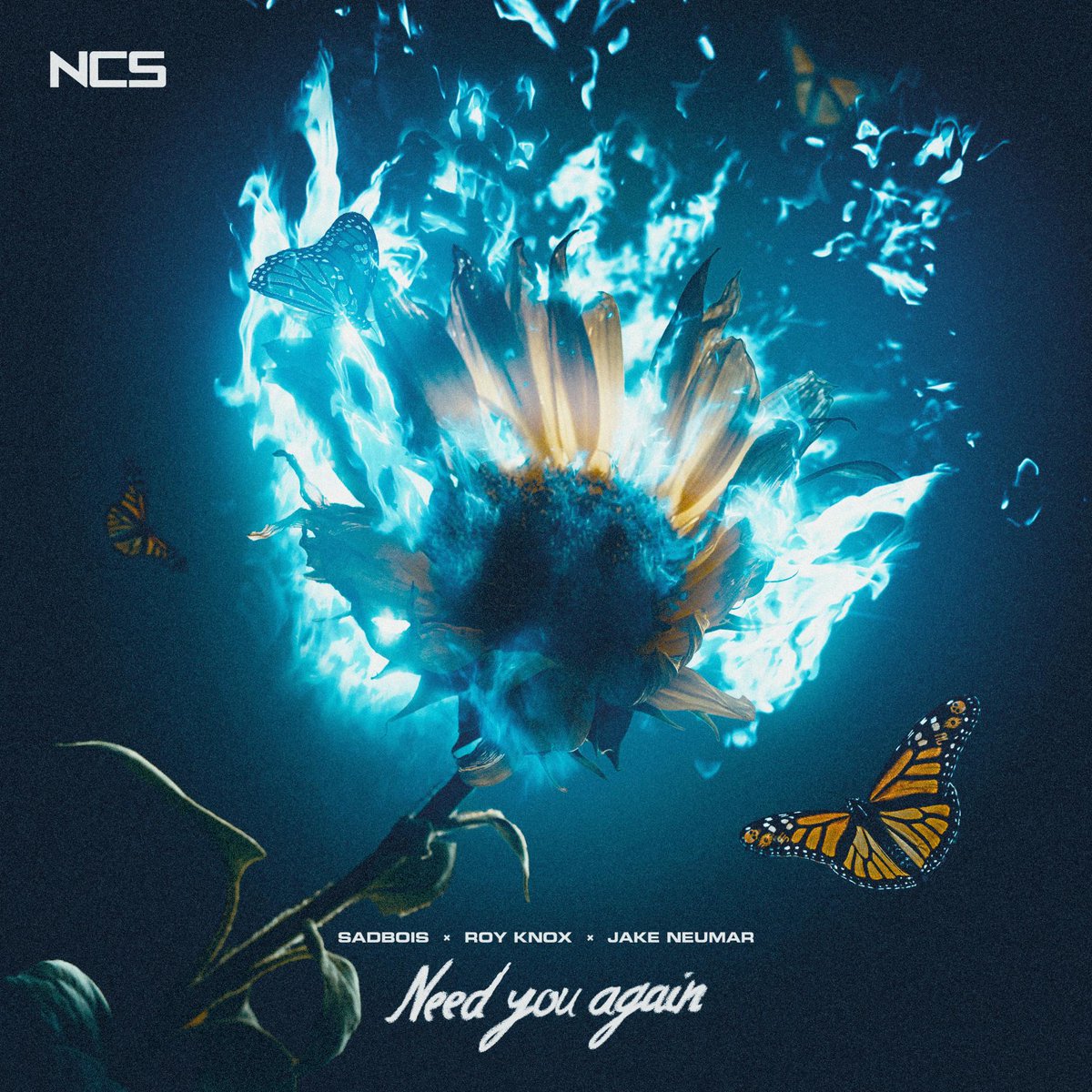 ROY KNOX (@royknoxmusic) on Twitter photo Finally back on <a href="/NCSounds/">NCS</a> this year with my new tune - 'Need You Again' with the legends <a href="/sadbois_music/">SadBois 🦋</a> and Jake Neumar!!⚡️
Listen: ncs.lnk.to/needyouagain Finally back on <a href="/NCSounds/">NCS</a> this year with my new tune - 'Need You Again' with the legends <a href="/sadbois_music/">SadBois 🦋</a> and Jake Neumar!!⚡️
Listen: ncs.lnk.to/needyouagain