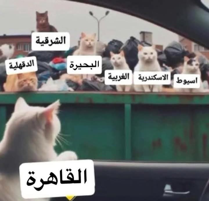فرص العمل في مصر