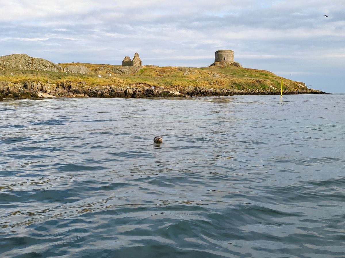 The people you meet out on the #SUP / #Paddleboard in Dalkey. #Southcountydublin