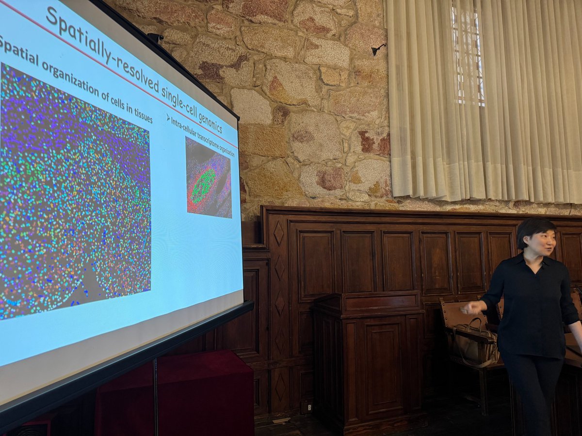 José Adserias tweet media