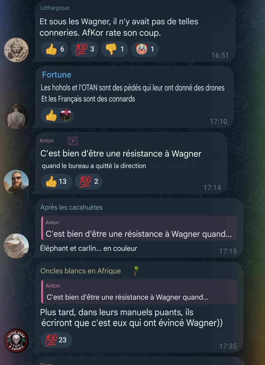 Le dernier reportage de <a href="/annefleurjo/">Lespiaut Anne-Fleur</a> sur le FLA pour Arte provoque des réactions sans équivoque sur les chaînes telegram Wagner/AK