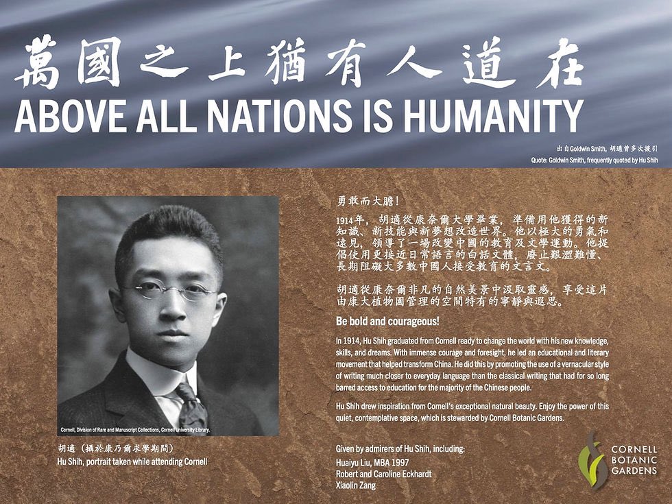 人权必须高于主权。否则，打着互不干涉内政的幌子，疯狂虐杀本国百姓就没有人敢去救助了。只有人权高于主权，独裁者把人民当牲口时，就会被全世界得而诛之，独裁者才会害怕。胡适当年曾援引一句话：“Above all nations is humanity.”说的就是人权高于主权，可惜100多年后的今天，独裁者们仍不认同。