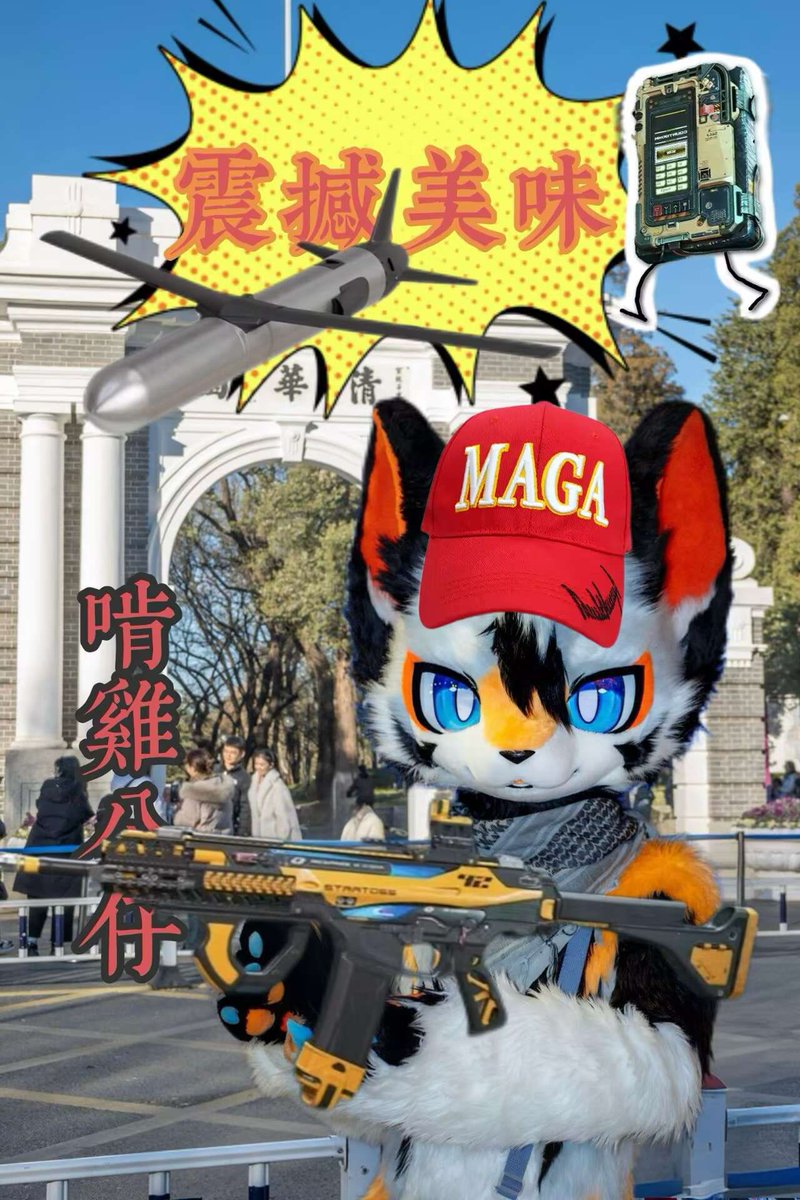 Jeffrey86334455's tweet image. #FursuitEveryday 
p 一个代表自己去了 bushi