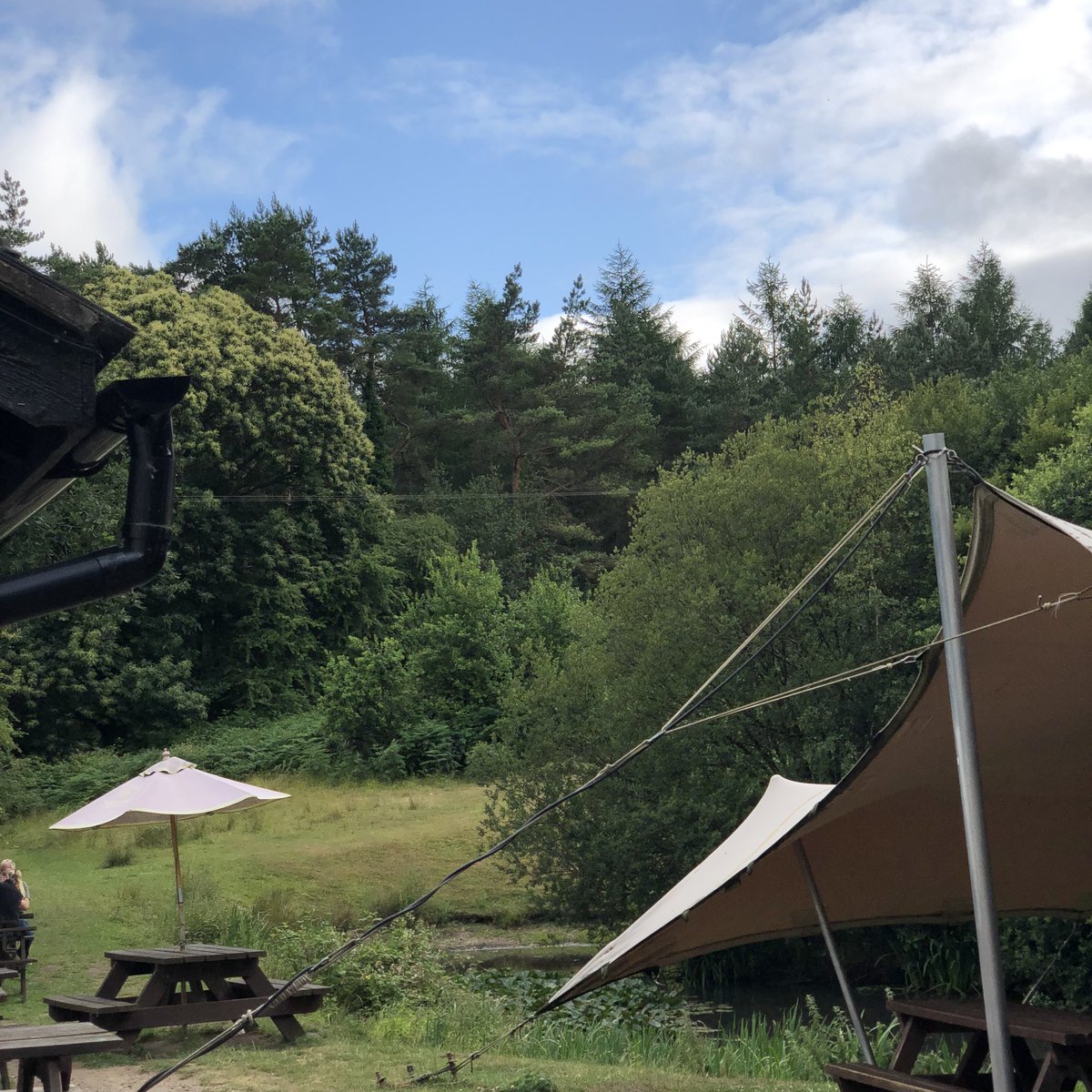 jh0llingsw0rth's tweet photo. Very nice spot for a pint or three! Rising Sun at Moseley Green, in the heart of the Forest of Dean. Now waking up to Steve’s fleet of wheelbarrows while he makes breakfast for the assembled brethren. https://t.co/EUH0p7hOsf