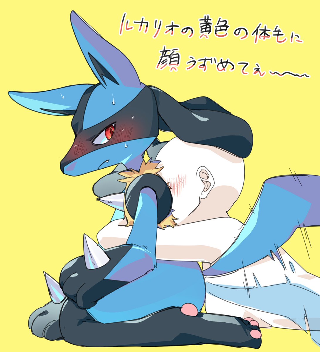 ルカリオ 「※相当好きなトレーナーじゃないとやらせてくれません #ポケモンイラスト」|マミポコのイラスト