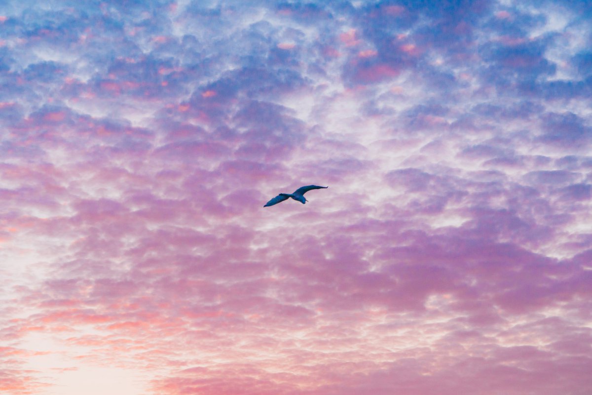 akinecoco987's tweet photo. Sky colors. https://t.co/AoRAUNL5G7