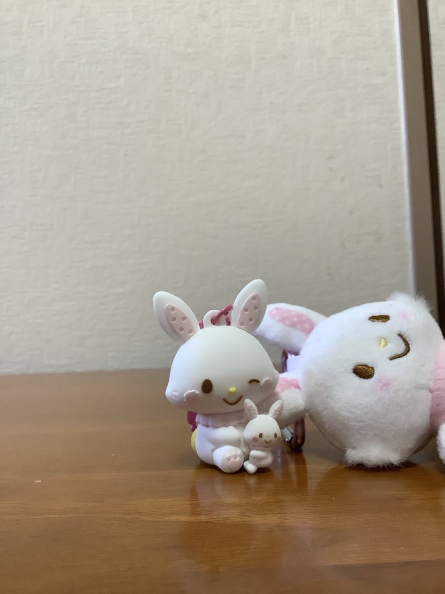 今日の2025年サンリオキャラクター大賞で俺の推しウィッシュミーメルが