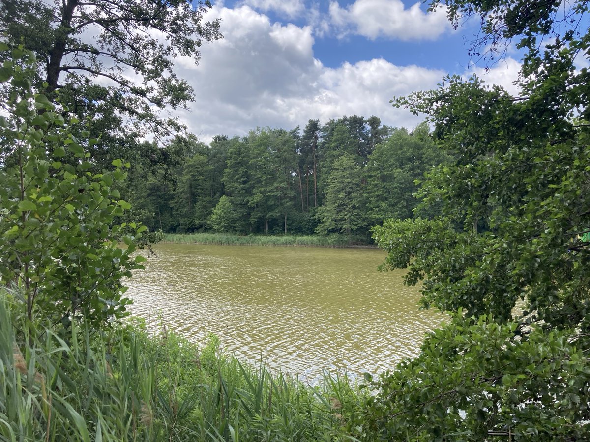 sochanska's tweet image. Took a random ride 🚴♀️and found this 😲Just 10 minutes from 🏡 — how did I not know sooner? @KarolBialek01 @ESochanska