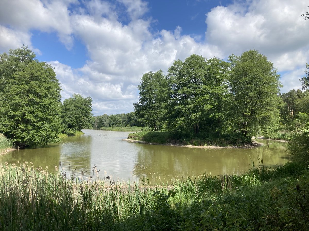 sochanska's tweet image. Took a random ride 🚴♀️and found this 😲Just 10 minutes from 🏡 — how did I not know sooner? @KarolBialek01 @ESochanska
