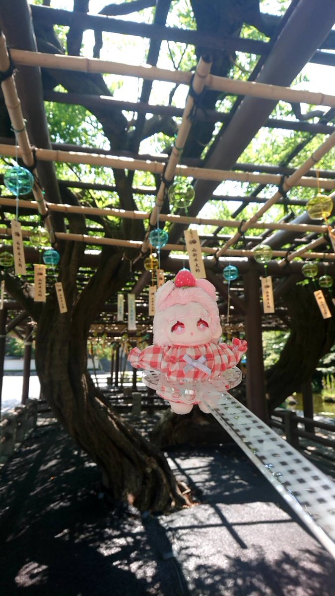 1_hapi's tweet photo. お参りに行ってきました🌞 https://t.co/qh656jccat