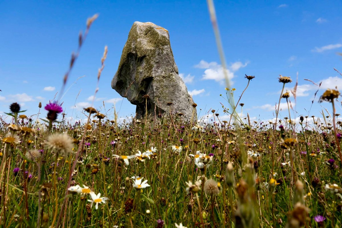 The Beckhampton Stones at Avebury,  also known as Adam and Eve. These ancient megaliths, part of the vast Avebury complex, stand quietly in the Wiltshire countryside, murmuring tales of the Neolithic. Unlike the main circle, these stones that form the terminus of the now lost