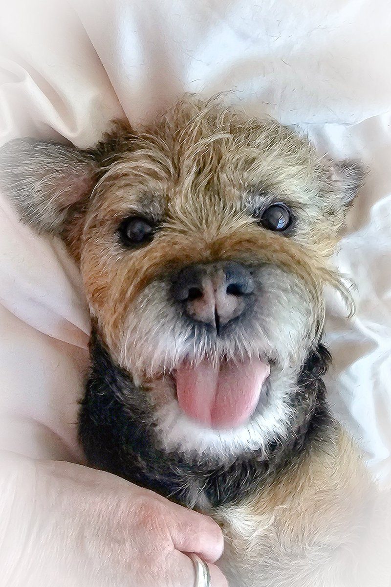 Mornin cuddles an tummy rubs from muma iz da best xxxxxxxx