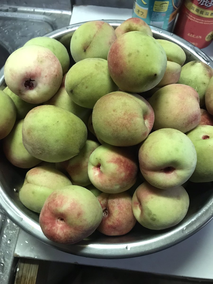 viridian tweet media