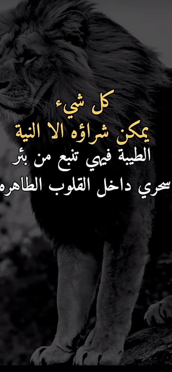 مساكم جميل 🌹🌹