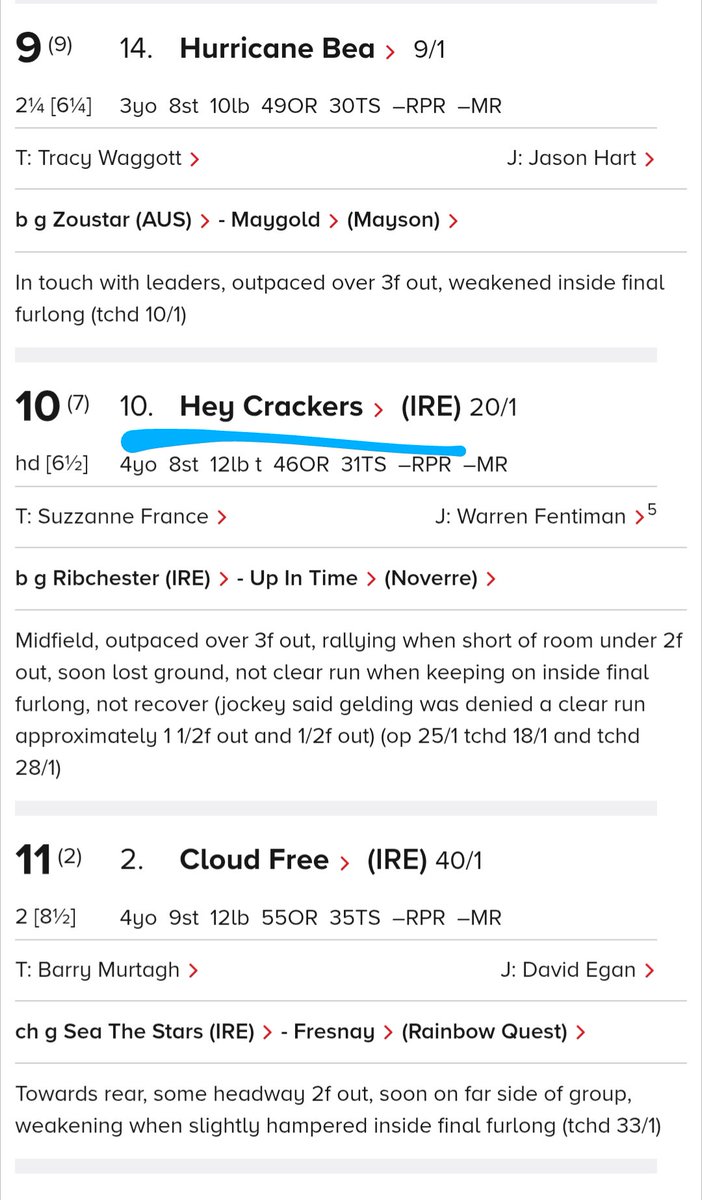 Nice to see #HeyCrackers playing out with friends 🐎🐰today, after his run <a href="/NewcastleRaces/">Newcastle Racecourse</a> on Thurs. He came home with a few cuts &amp; bruises after being struck into during the race - but he continued to battle on! A true fighter - looking forward to a fair run next time!🤞🏇👌✨🩵