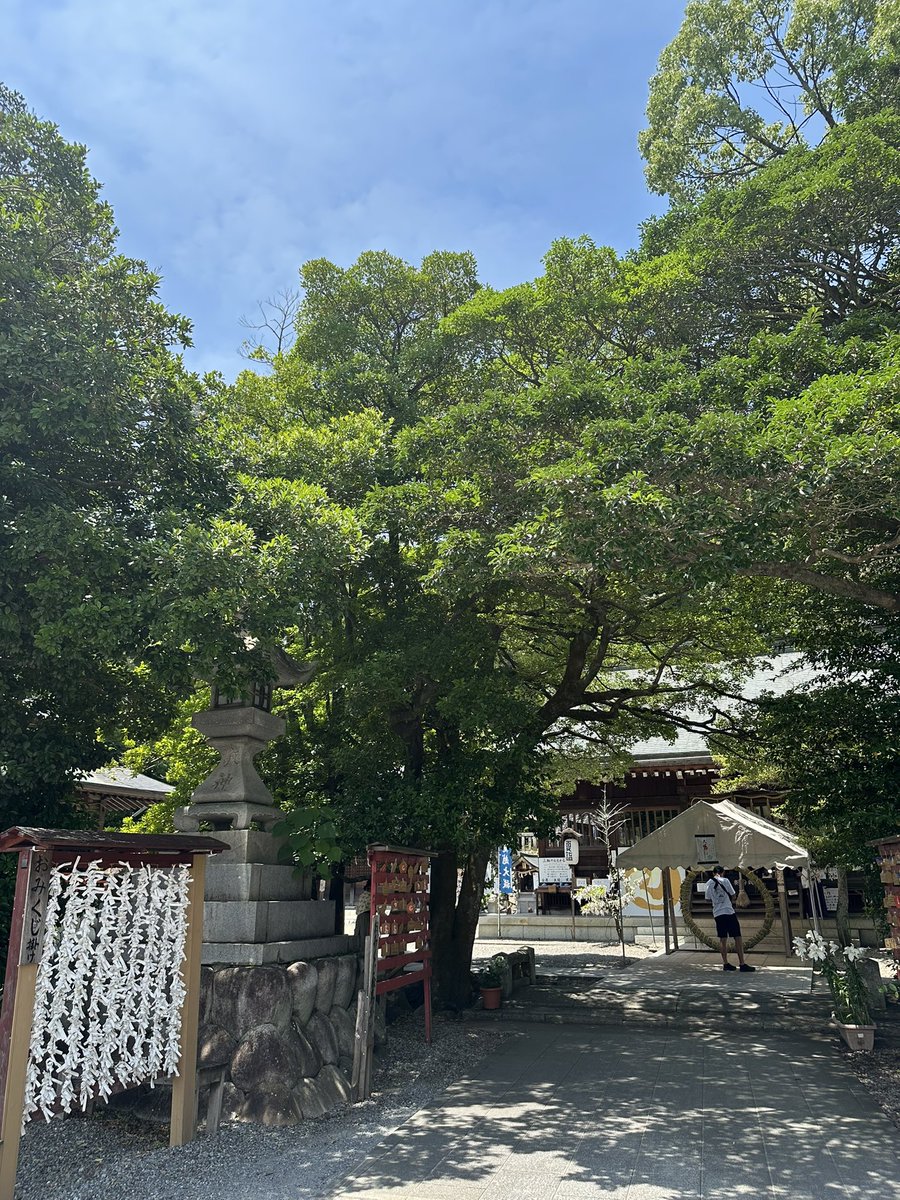 mihonog's tweet image. 今日は娘と2人で揖斐川町の三輪神社さんの #夏越の大祓 に行ってきました。今年も左回り右回り…あれ?次は?とやり直したり記憶があやふや😅 家族全員分のお祓いをしてもらいました。娘は神社仏閣に現れるこびとのシシノモンドコロを探してウロウロ。いるといいねぇ😉
#岐阜 #子育て #高齢ママ