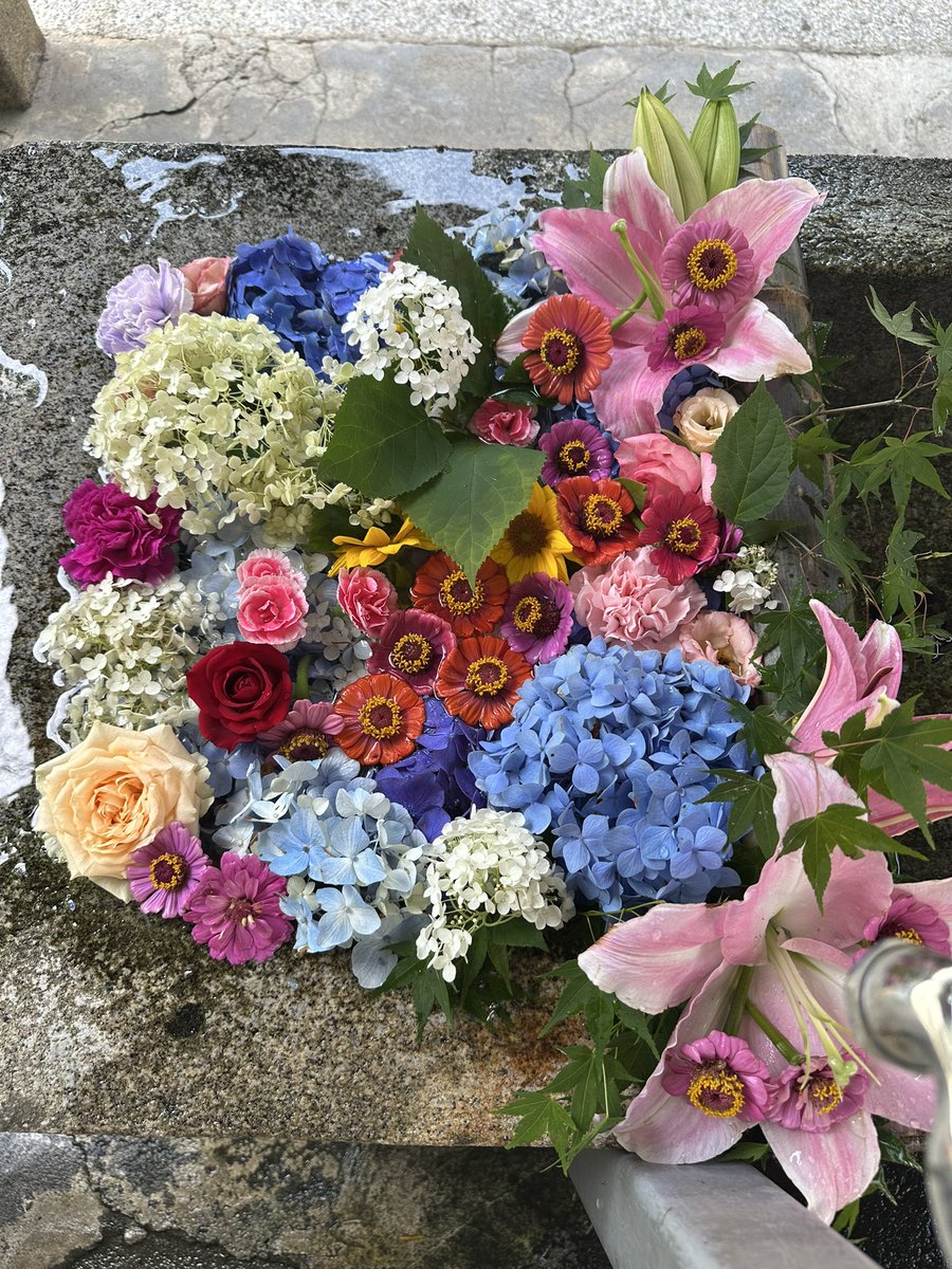 mihonog's tweet image. 今日は娘と2人で揖斐川町の三輪神社さんの #夏越の大祓 に行ってきました。今年も左回り右回り…あれ?次は?とやり直したり記憶があやふや😅 家族全員分のお祓いをしてもらいました。娘は神社仏閣に現れるこびとのシシノモンドコロを探してウロウロ。いるといいねぇ😉
#岐阜 #子育て #高齢ママ