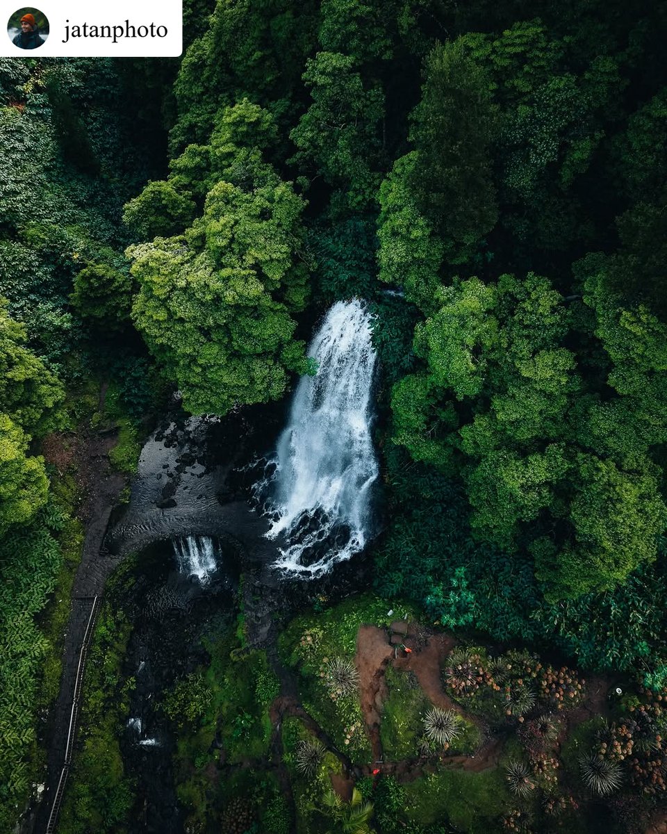Parque Natural da Ribeira dos Caldeirões no Nordeste – Ilha de São Miguel

Ribeira dos Caldeirões Natural Park in Nordeste – São Miguel Island
#visitazores #açores #azores