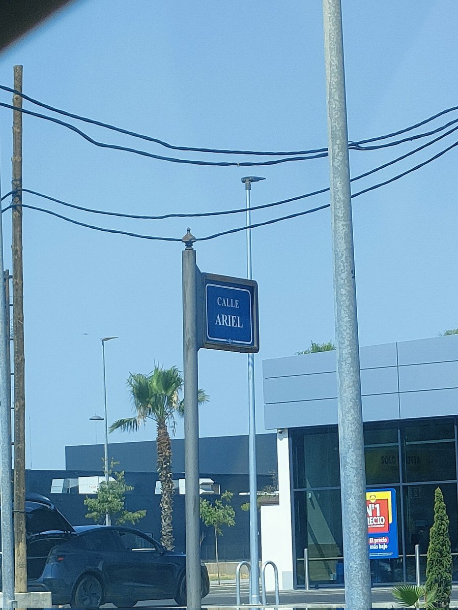 ¿Por qué creéis que será? ¿Por la sirenita o por el detergente?