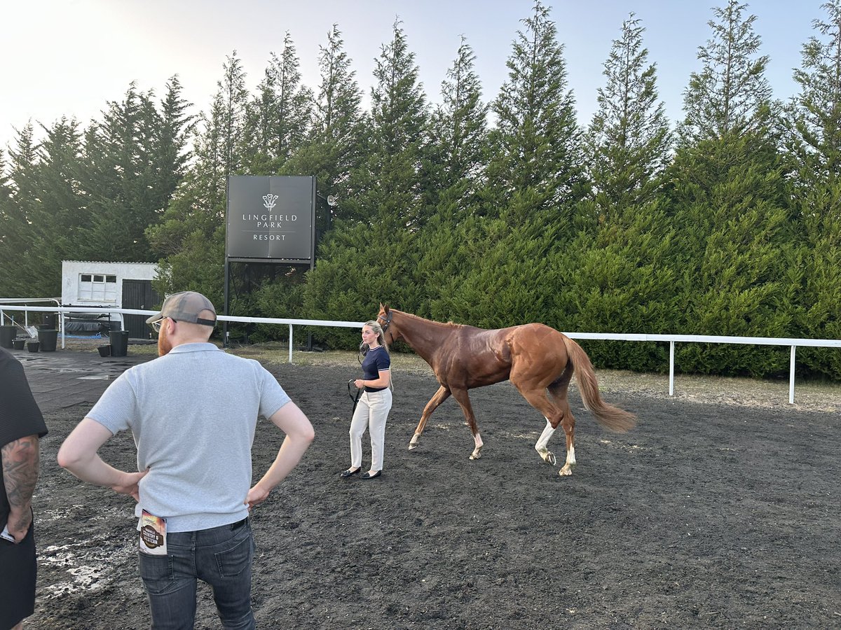 Cliff Salmon (@cliff_salmon) on Twitter photo <a href="/PompeyVentures/">PompeyVentures</a> <a href="/LingfieldPark/">Lingfield Park</a> 2nd place in the unlucky last. Ran his socks off for close second. Thanks for the evening <a href="/PompeyVentures/">PompeyVentures</a> . 💙🥳🫶#comeracing #syndicate #ownership <a href="/PompeyVentures/">PompeyVentures</a> <a href="/LingfieldPark/">Lingfield Park</a> 2nd place in the unlucky last. Ran his socks off for close second. Thanks for the evening <a href="/PompeyVentures/">PompeyVentures</a> . 💙🥳🫶#comeracing #syndicate #ownership