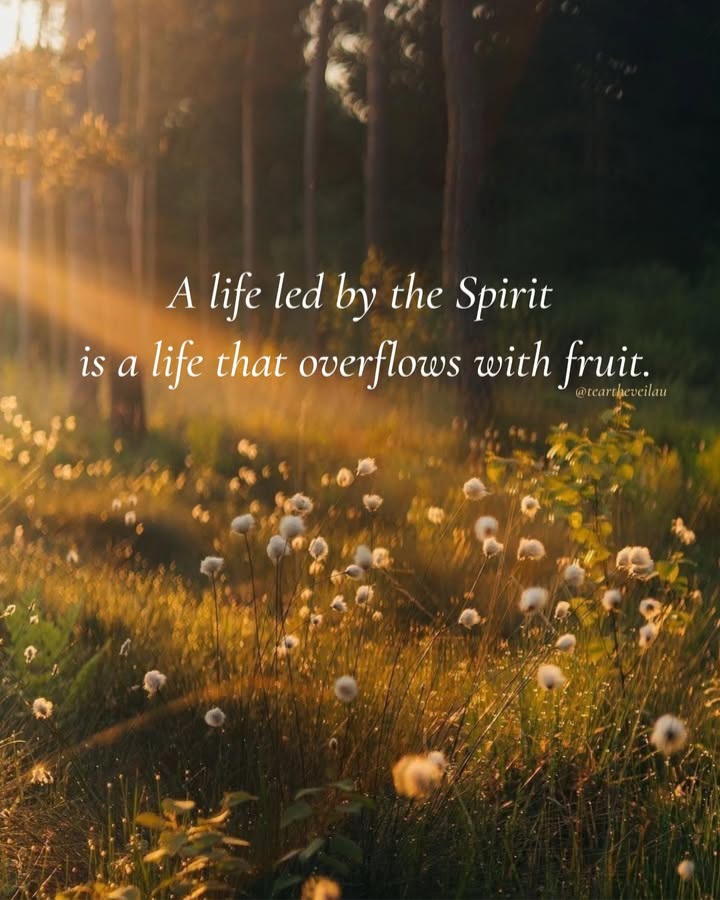 Good Morning,
Have a blessed Sunday.