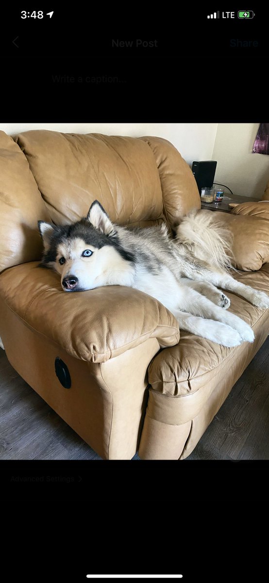 _josiahpoole's tweet photo. Lost my best friend tonight. Life is bullshit sometimes. https://t.co/DSCkUbabzu