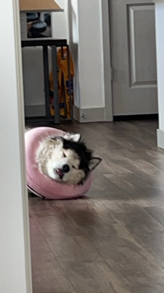 Lost my best friend tonight. Life is bullshit sometimes.