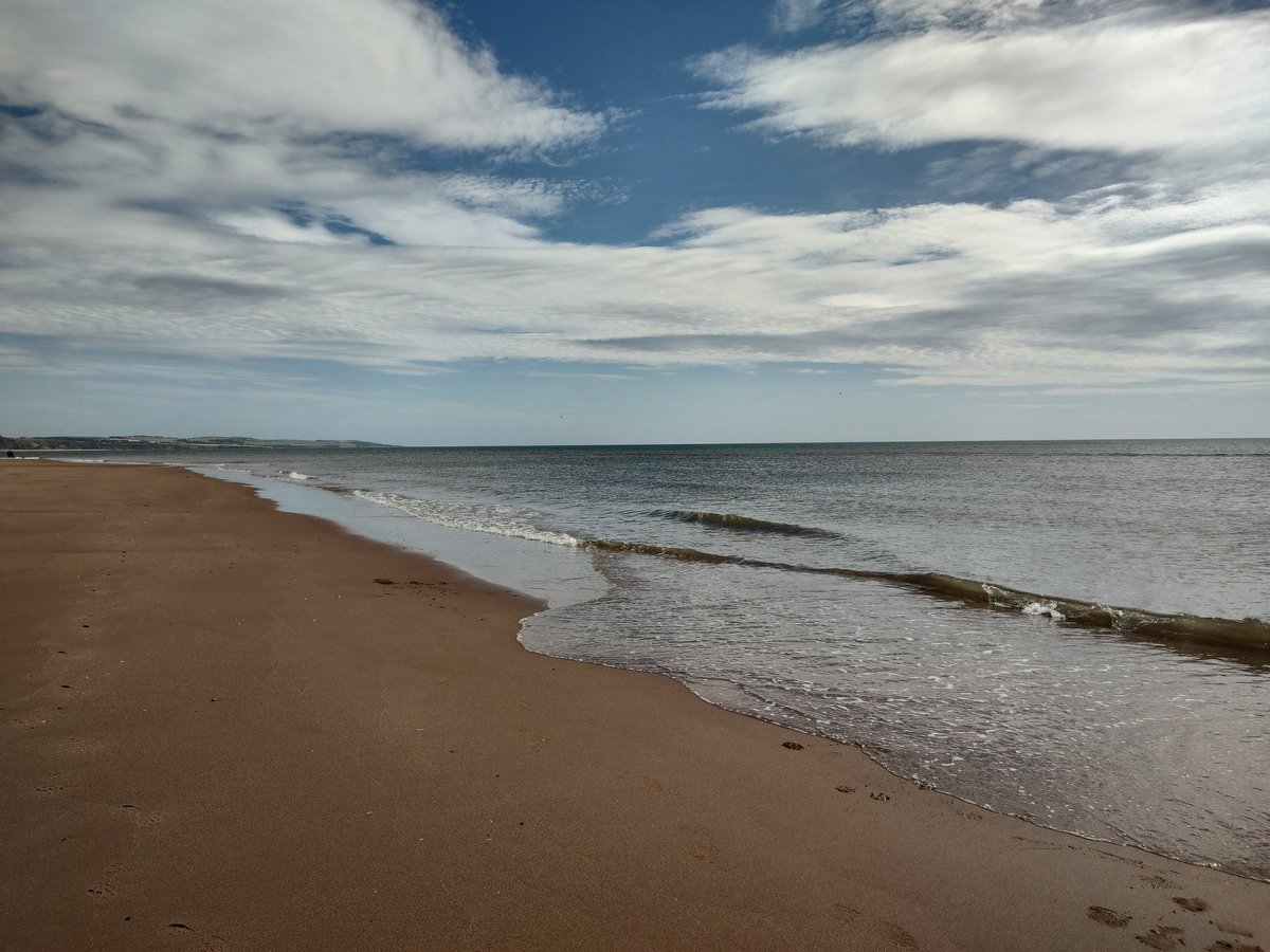 Vicky Chapman AssocCIPD tweet media