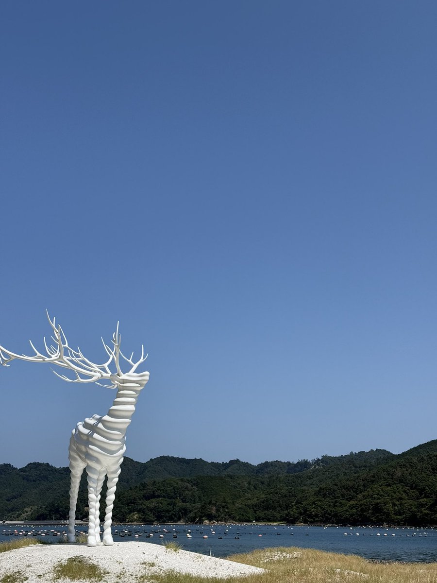 少し動きたかったので石巻までドライブに。white deerは美しかったです