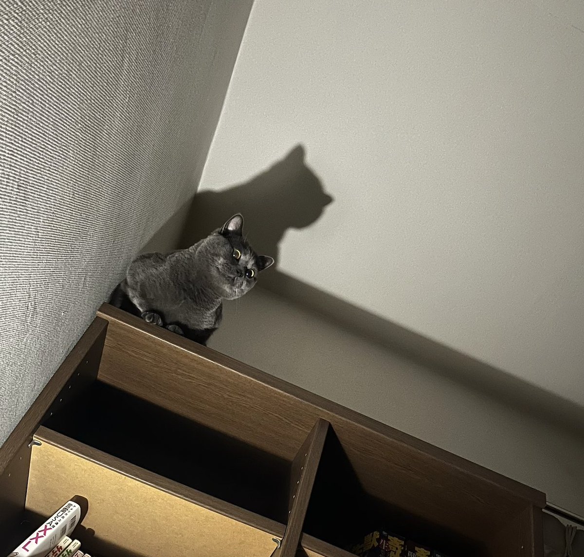 夜中にふと目が覚めたら。。