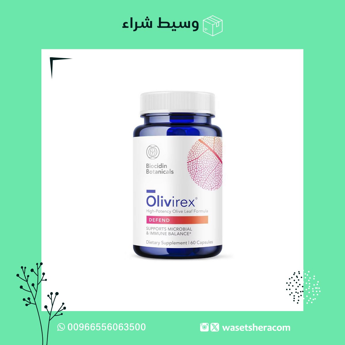 رابط المنتج:cutt.ly/prRBrFWl  
#مكمل_غذائي #تركيبة أوراق الزيتون
#Olivirex #USA
#مكملات_غذائية #مناعة #زيتون #صحة #صحي #تعزيز_الصحة #تعزيز_المناعة #فيتامين #فيتامينات #تسوق_امريكا #شحن_امريكا #شحن #امريكا #تسوق #شوبينق #منتجات #ماركات #عالمية #امريكية
#وسيط_شراء