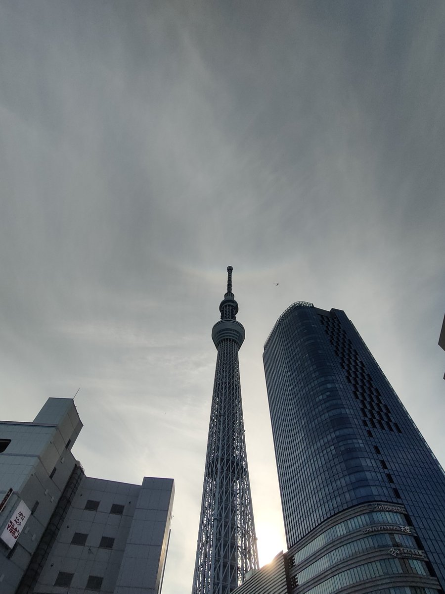 syaurui's tweet image. 生き物ではないですが環天頂アークが見えました