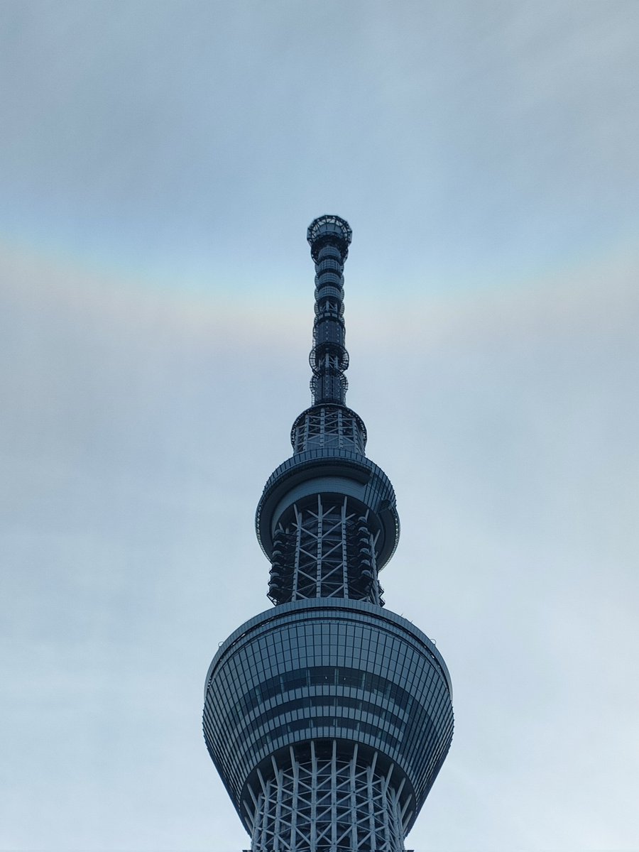 syaurui's tweet image. 生き物ではないですが環天頂アークが見えました