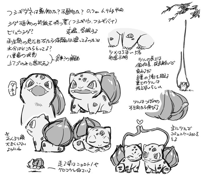 生態図鑑にフシギダネ載ってなかったから自分で考察した。1体のポケモンと向き合って色々考えるの楽しい。 