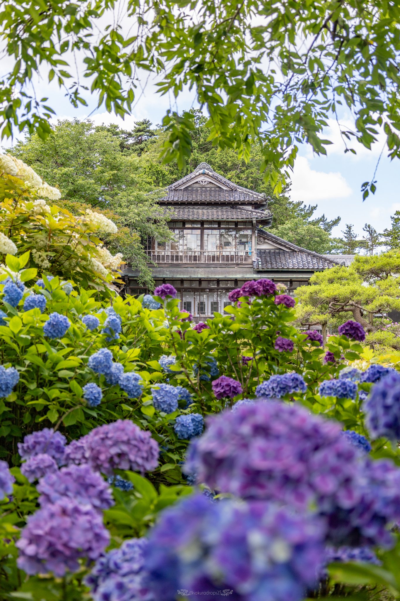 アレンバック リトグラフ 花咲く庭の片隅 14/200 アレンバック リトグラフ 花咲く庭の片隅 14/200 - メルカリ