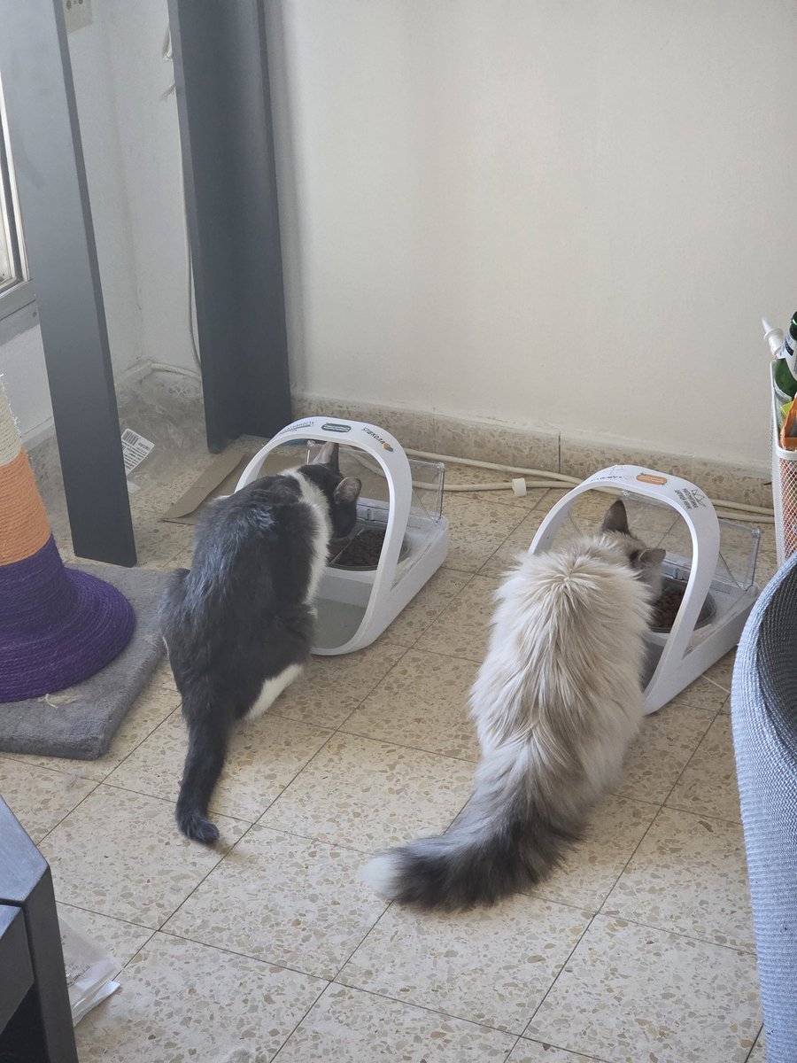 m_arthas (@m_arthas_) on Twitter photo 