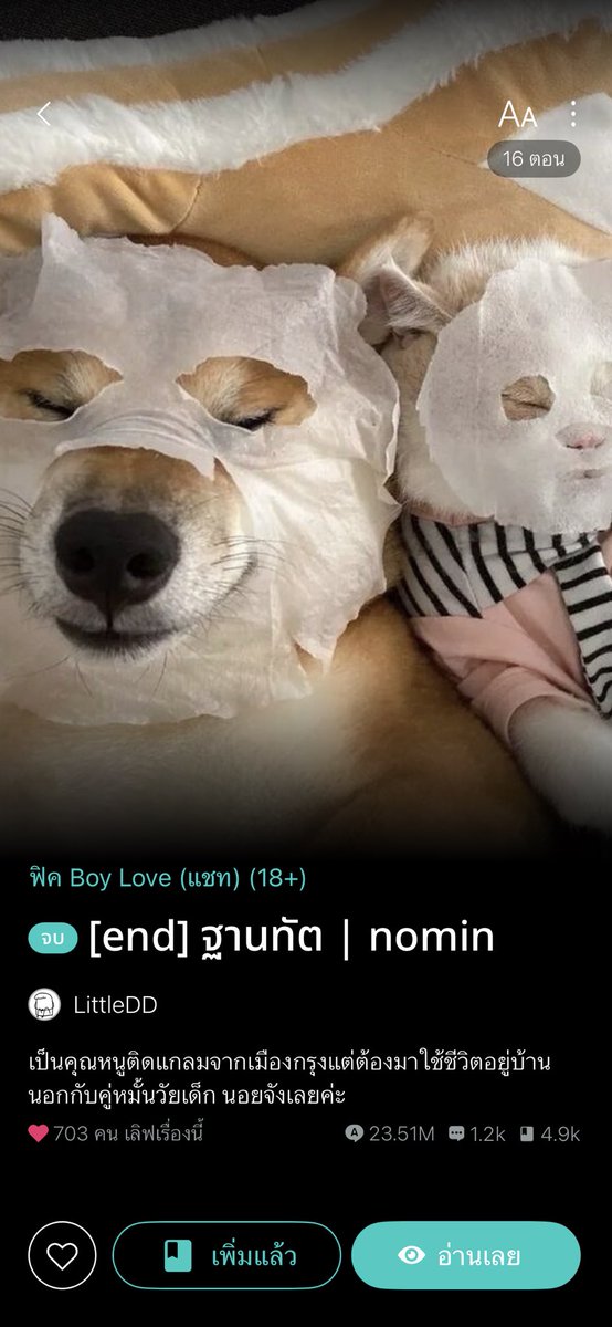 ลาออกมาอ่านฟิค /•᷅•᷄\੭ tweet media