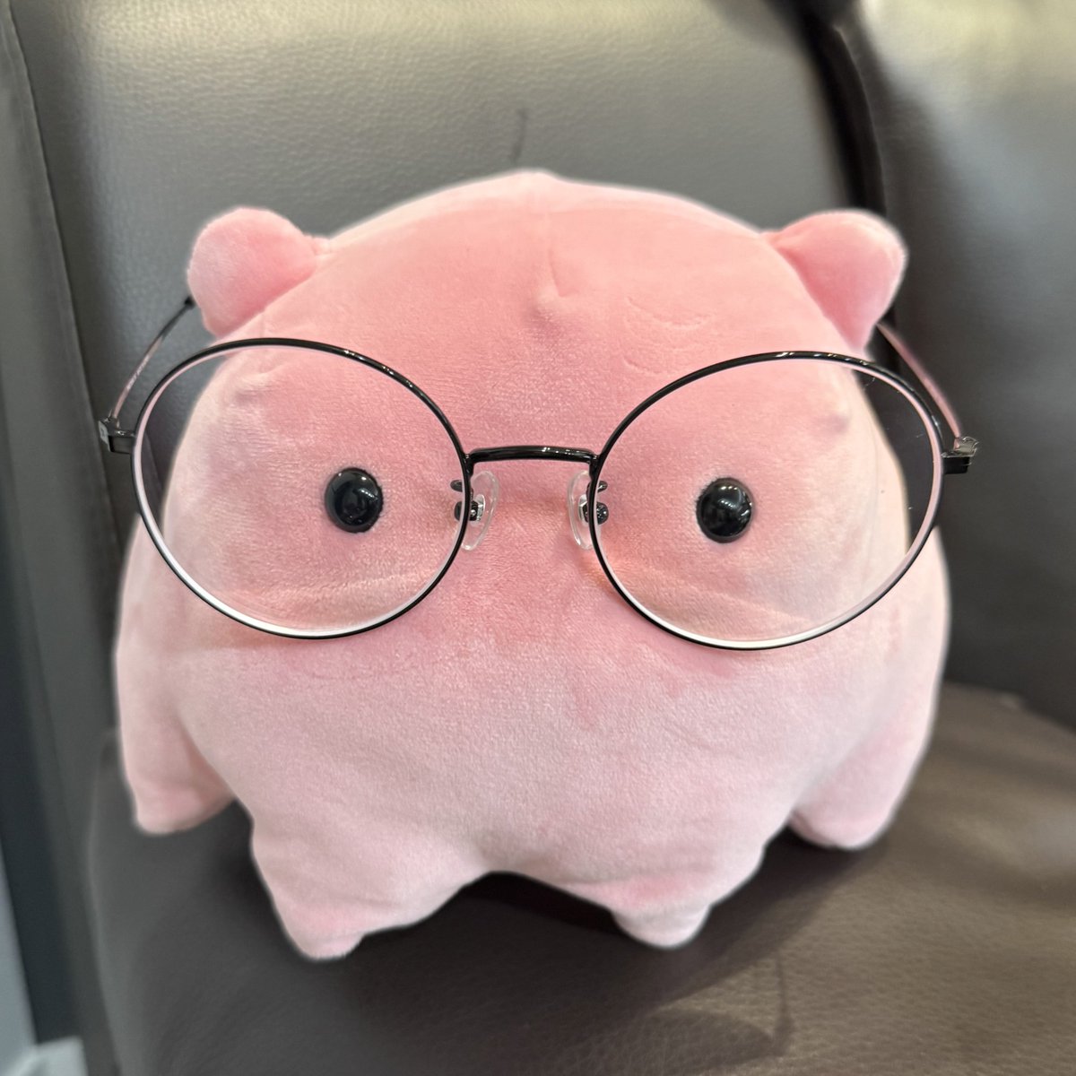 umumung's tweet photo. 우무의 쭈꾸미 https://t.co/io3m85TdWa